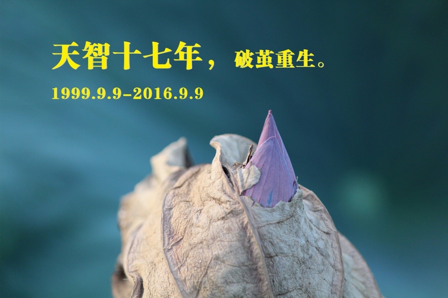 天智十七年，破繭重生。