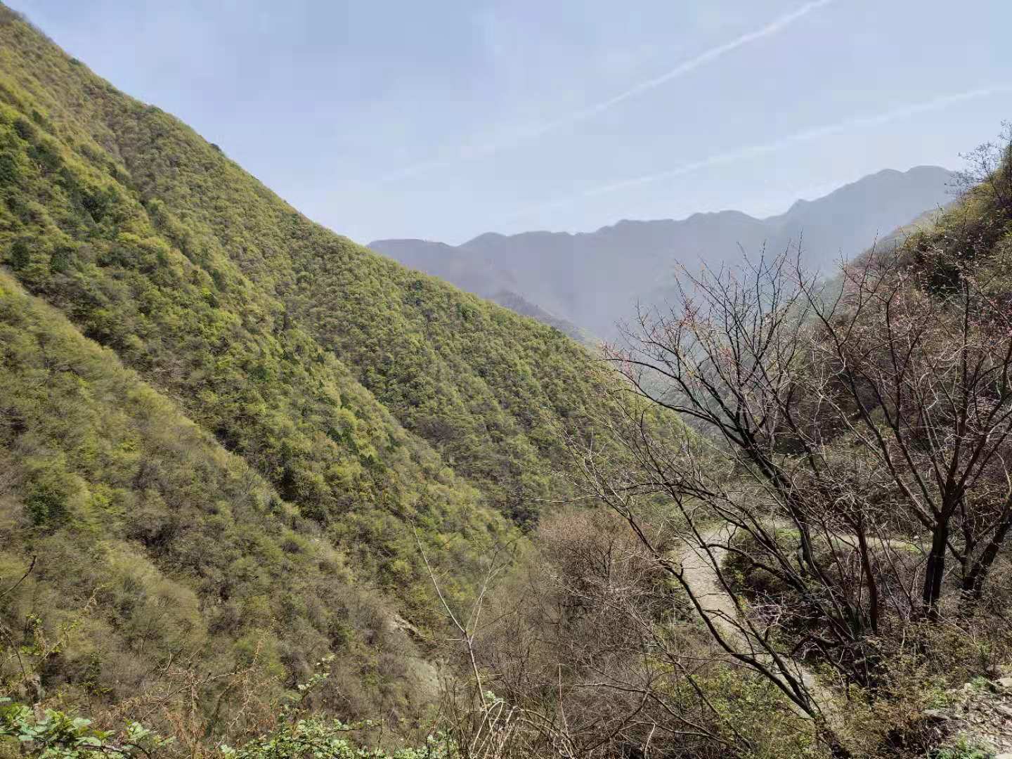 團(tuán)建，春到老縣城。(圖2)