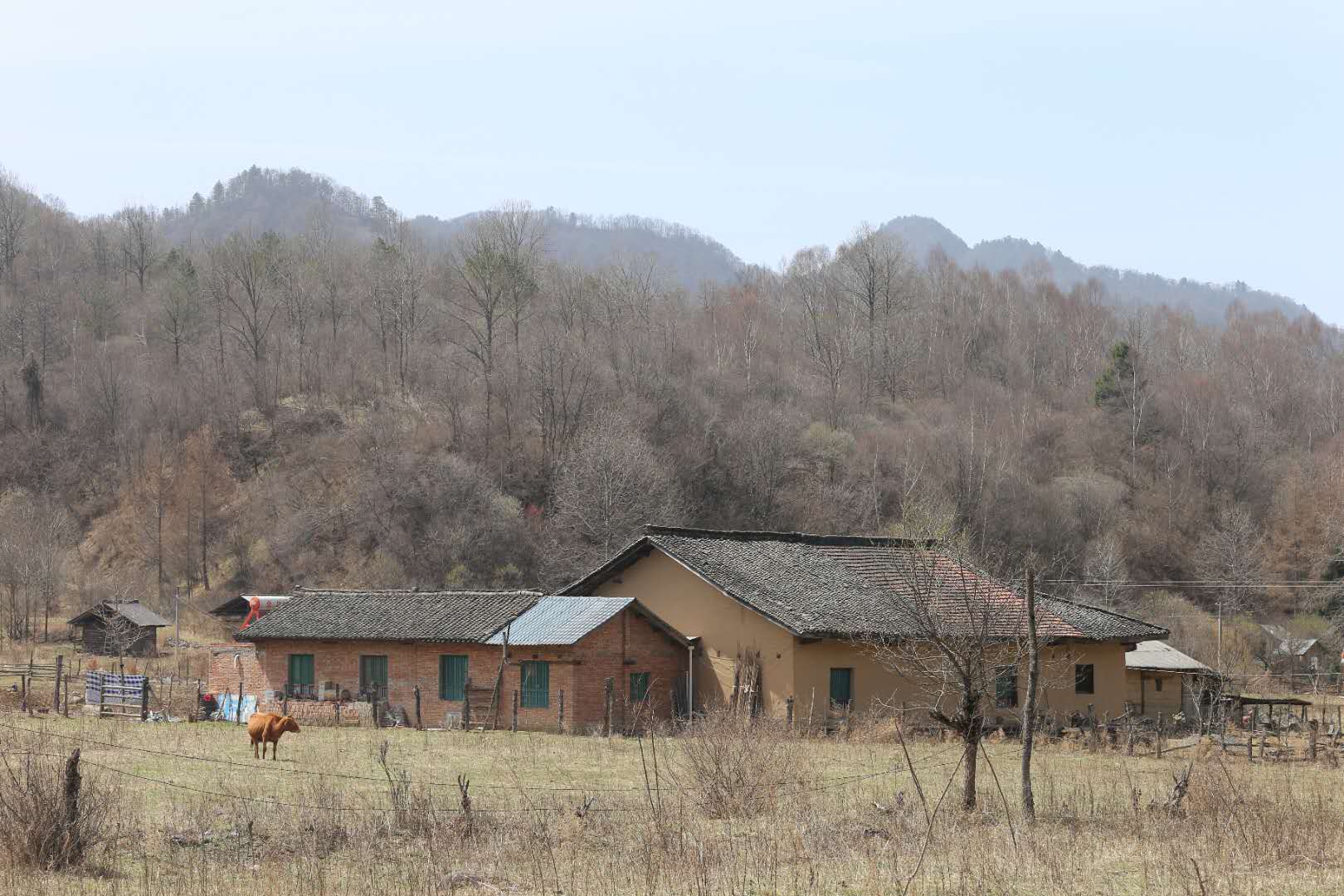 團(tuán)建，春到老縣城。(圖12)