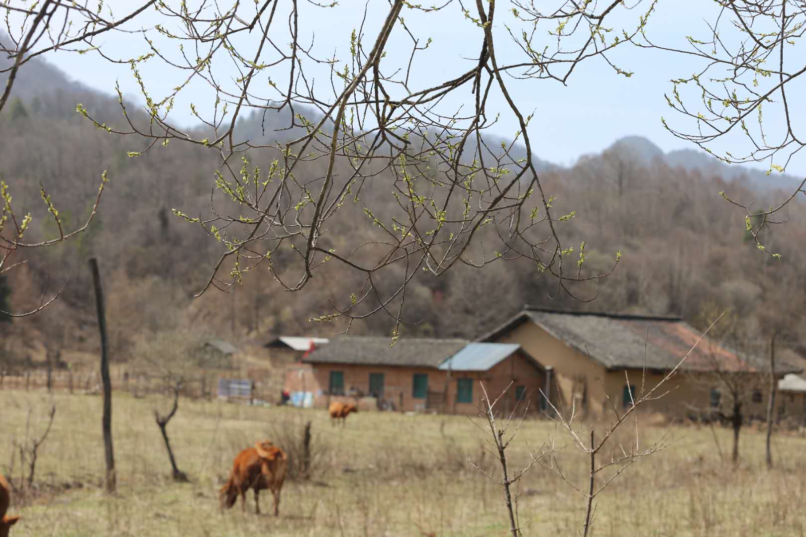 團(tuán)建，春到老縣城。(圖13)