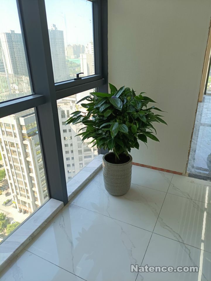 諦杰十六層辦公室裝修紀(jì)實(shí)(圖148)